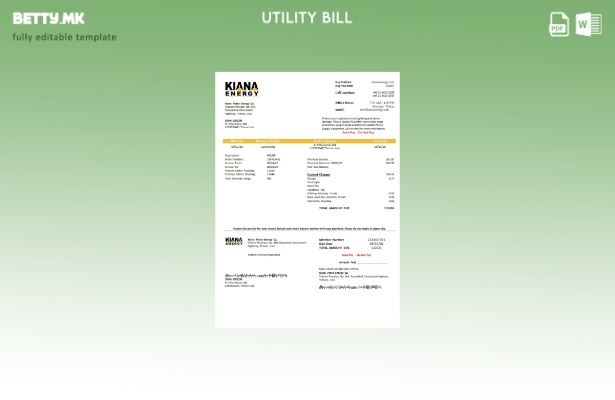Модерен стил Шаблон за комунални сметки Иран Киана Петро Енерџи Ко
